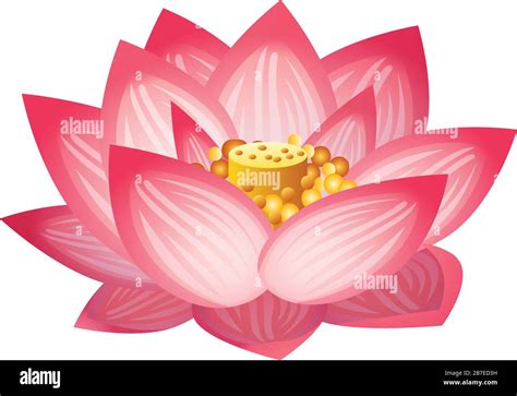 Lotus flower icon. Cartoon of lotus flower vector icon for web design isolated on white ...