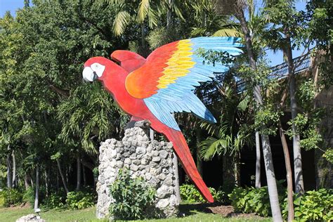 Giant Parrot Jungle Island | This is the original Parrot Jun… | Flickr