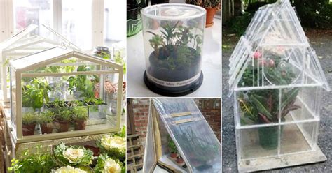 DIY Mini Greenhouse Ideas – How To Make A Mini Greenhouse, 50% OFF