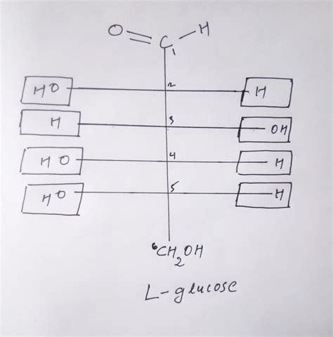 [Solved] Part B Draw the Fischer projection for L-glucose. Drag the appropriate labels to their ...