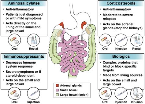 Inflammatory bowel disease (IBD) - AGA GI Patient Center