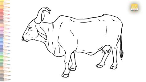 Indian Cow Drawing