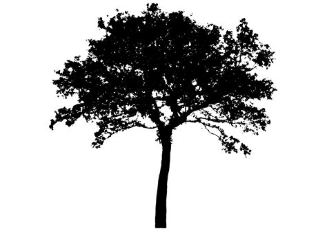 Clipart - tree silhouette 4