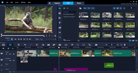 Corel VideoStudio Ultimate 2018 review | TechRadar