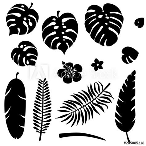 Jungle Silhouette Vector at Vectorified.com | Collection of Jungle Silhouette Vector free for ...