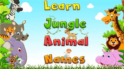 Learning Jungle Animals - Jungle Animals Names | Kid's Learning Videos | Nursery Rhymes By ooPU ...