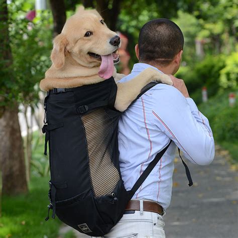 Dog Backpack Carriers | IUCN Water