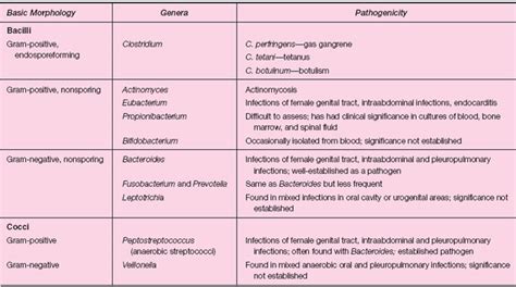 Rightwings Aerobic And Anaerobic Bacteria List