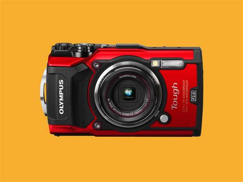 5 Best Compact Cameras for 2019: Cheap, Rugged, 10x Zoom | WIRED