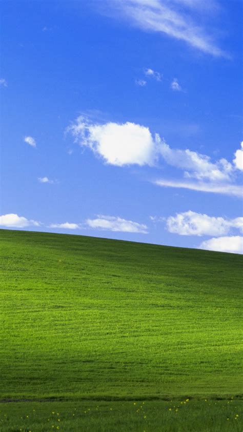 Windows XP Android Wallpapers - Wallpaper Cave