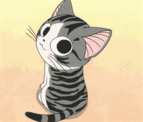 Photos gif cat manga page 2 | Kawaii cat | Pinterest | Gato, Kawaii y Dulce hogar