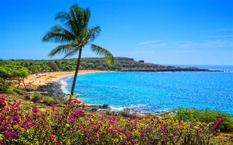 Lanai's Beautiful Hulopoe Beach - Go Visit Hawaii