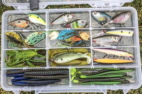 How To Use Fishing Lures: A Beginner's Guide | Farmvina