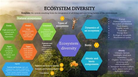 ECOSYSTEM DIVERSITY