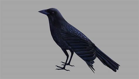 Crow - 3D Model by MadeCG