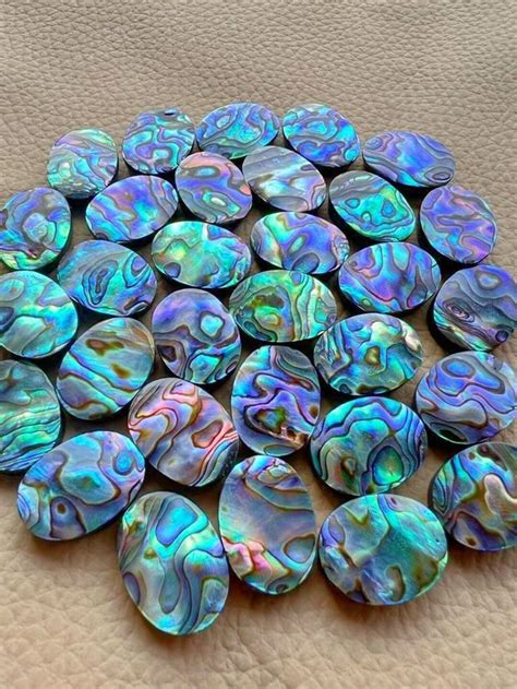 1520mm Oval Abalone Shell High Quality of Rainbow Colour Shell Abalone - Etsy | Abalone shell ...