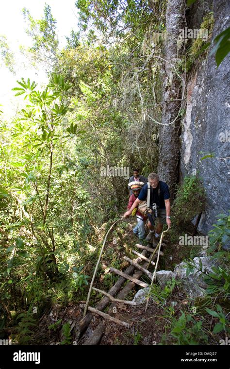 Hiking trail, Lufa District, Eastern Highlands Province, Papua New ...