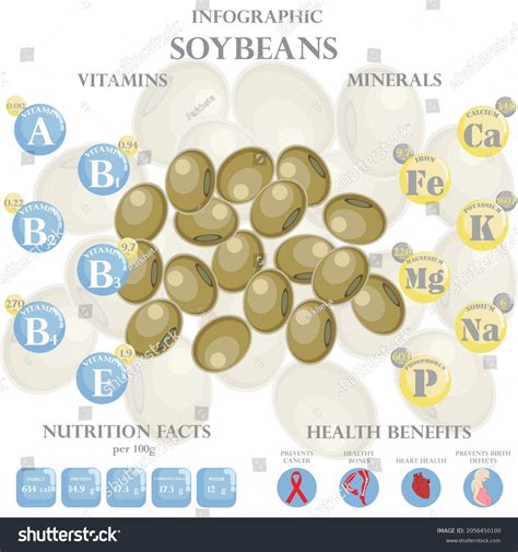 Soybeans Nutrition Facts Health Benefits Infographic Stock Vector (Royalty Free) 2056450100 ...