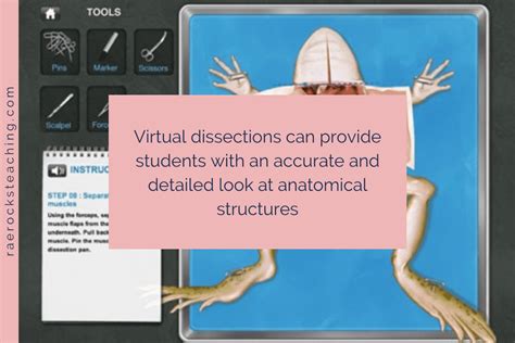 Digital in Anatomy: 7 Best Ways to Infuse Educational Technology into ...