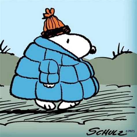 72 best images about Winter on Pinterest | Peanuts snoopy, Happiness is and Its cold