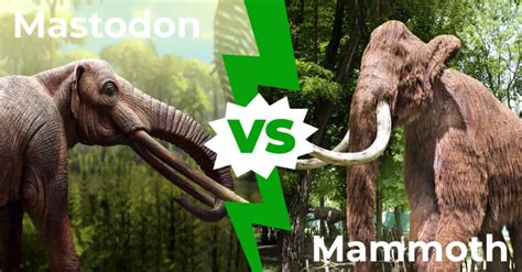 Mastodon vs Mammoth: 7 Key Differences Explained - A-Z Animals