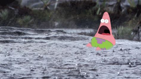 Surprised by this weather. | Surprised patrick, Rain meme, Rain humor