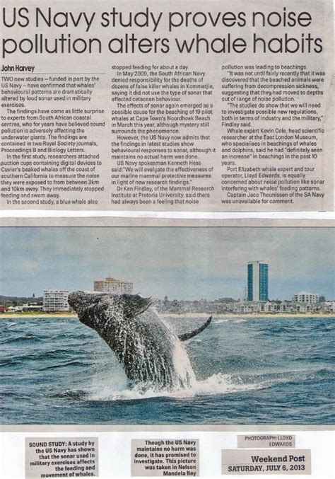 Noise Pollution affecting whales in South Africa