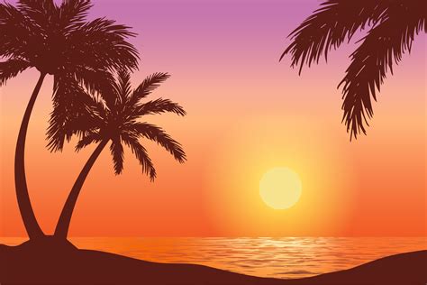 Vector Sunset on Tropical Beach Graphic by sabavector · Creative Fabrica