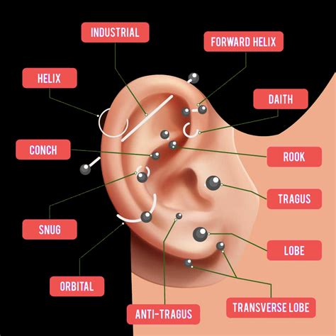 Ear Piercing Chart | Ear Piercing Guide | Body Pierce Jewelry