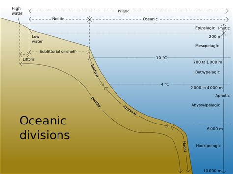 Open Ocean Biome