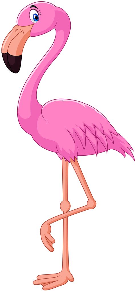 Pink Flamingo PNG Clipart - Best WEB Clipart