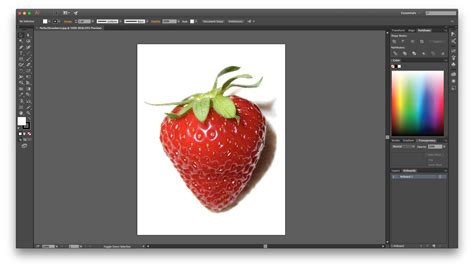 Adobe Illustrator Tutorials Beginner | Examples and Forms