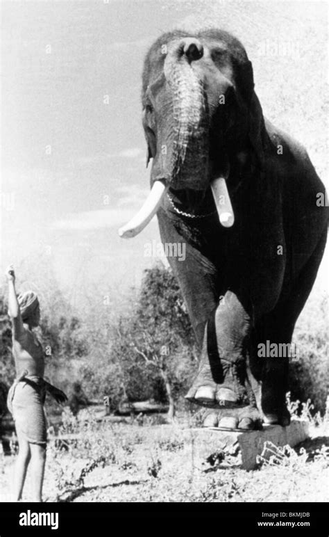 ELEPHANT BOY -1937 SABU Stock Photo - Alamy