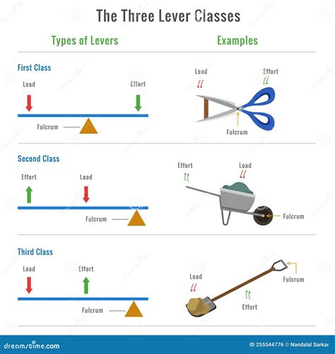 Different Types of Levers with Examples Vector Illustration Stock Vector - Illustration of ...