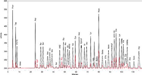 3 Chromatogram of amino acids calibration mixture by ion exchange... | Download Scientific Diagram