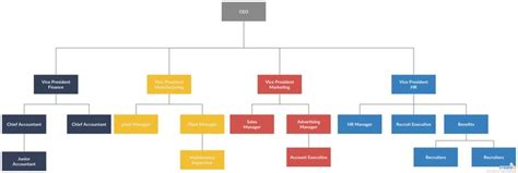 Organogram Example | Editable Organogram Template on Creately