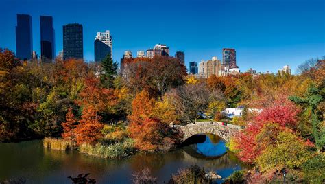 Landscape and trees in Central Park, New York City image - Free stock photo - Public Domain ...