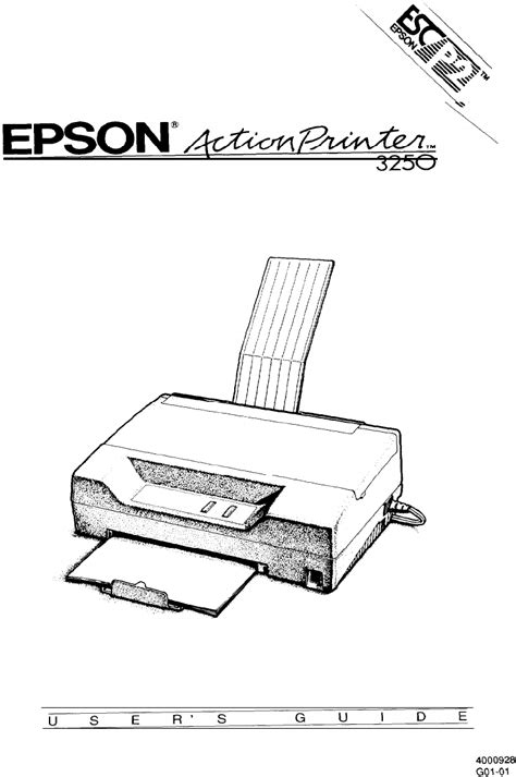 Epson Printer 3250 User Guide | ManualsOnline.com