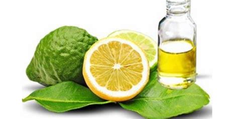 SKIN EPISODES: Bergamot Body Oil | Blog