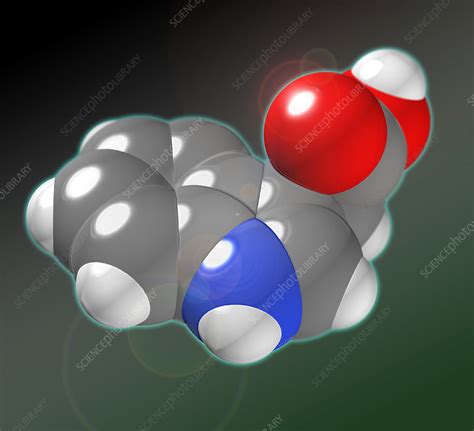 Indole-3-acetic acid - Stock Image - F031/5870 - Science Photo Library