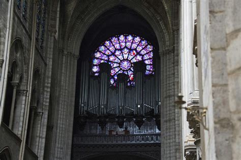 Notre Dame Cathedral Organ