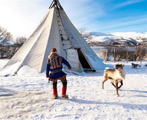 Ways to Experience Sami Culture in Tromso - 2021 Travel Recommendations | Tours, Trips & Tickets ...