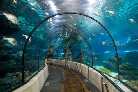 Barcelona Aquarium, Barcelona | Ticket Price | Timings | Address: TripHobo