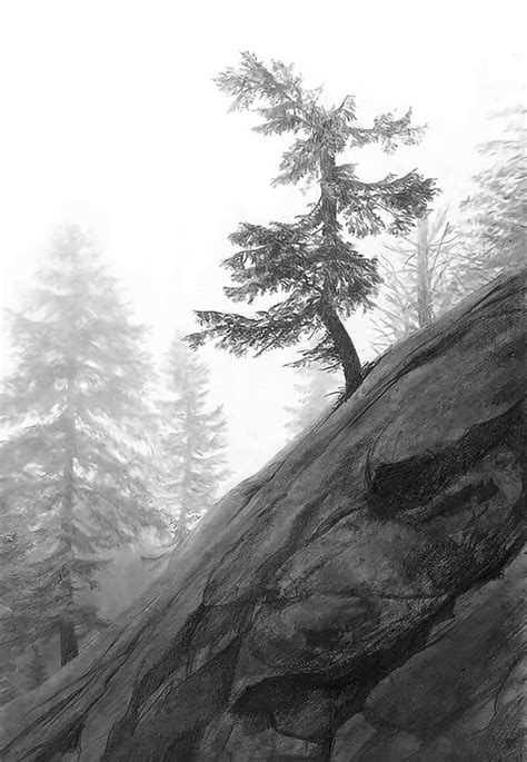 Photo-realistic Landscape Drawings in Graphite by Doug Fluckiger