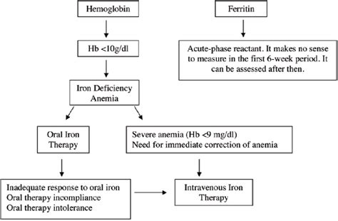 Iron Deficiency Anemia Treatment