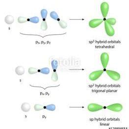 Hybridization of s and p orbitals of carbon atom and geometry of... | Download Scientific Diagram