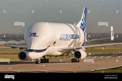 Airbus Beluga XL landing at Airbus Broughton cheshire Stock Photo - Alamy