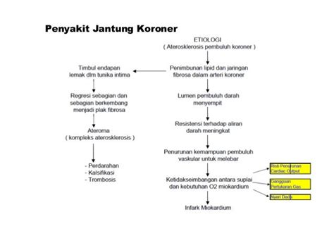 Patofisiologi Penyakit Jantung Koroner - Homecare24