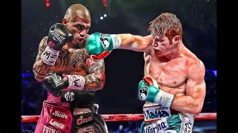 Canelo Alvarez Knockouts Highlights