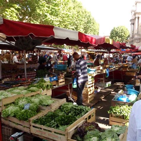 Farmers Market in France | Plants, Farmer, Places